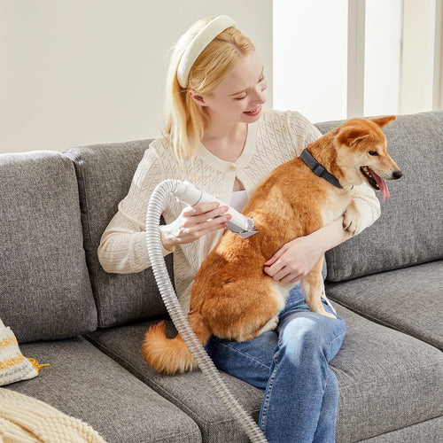 Professional Pet Grooming Vacuum Kit